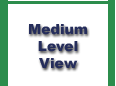 Medium Level View