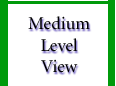 Medium-Level View