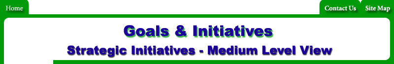 Goals and Initiatives